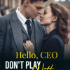 Hello, CEO! Don鈥檛 Play With Me!