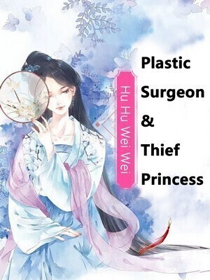 Plastic Surgeon &amp; Thief Princess