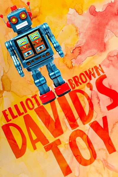 David's Toy