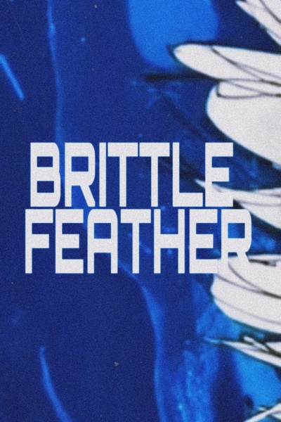 BRITTLE FEATHER