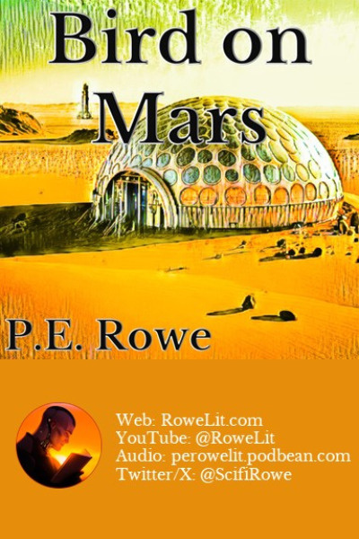 Bird on Mars
