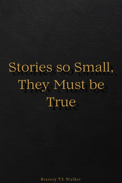 Stories So Small, They Must Be True
