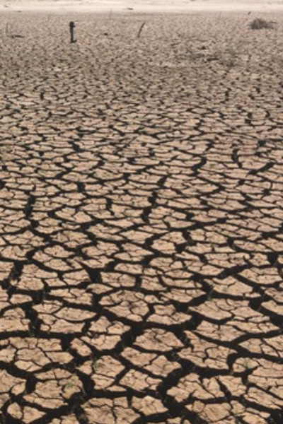 Sun Baked Soil