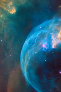 Cosmos