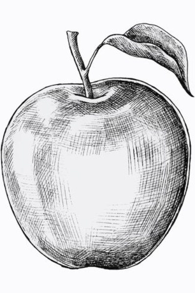 Fruit of the Heart