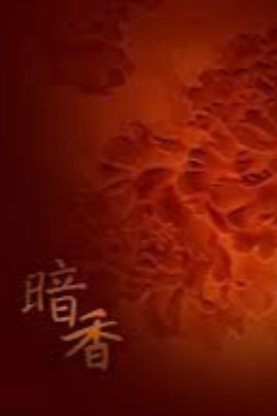 AN XIANG