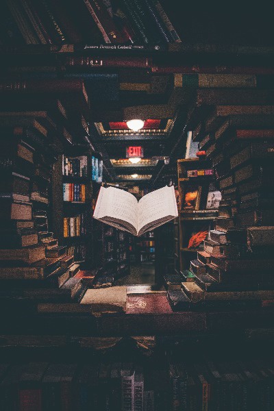Making of a Genius [A Progression LitRPG]