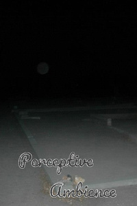Perceptive Ambience