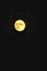 Moon and sun