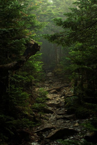Path