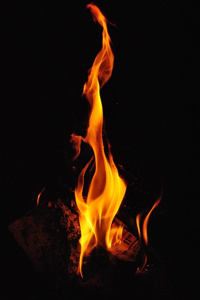 The Bitter Taste of Ash and Revenge