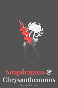 Snapdragons &amp; Chrysanthemums