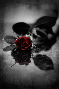 Shards of Me