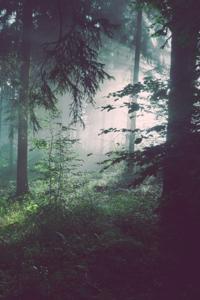 Of Life and Death