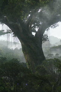 Come to the Tree