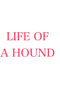 Life of a hound
