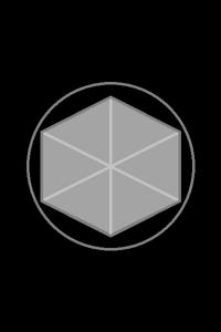 The Gray Mage