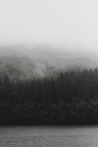 The Misty Gloam