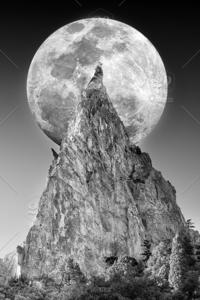 Moonlight wolf