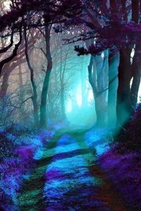 Lady of the Forbidden Forest
