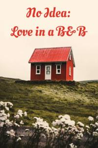 No Idea: Love in a B&amp;B