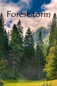 Foreststorm