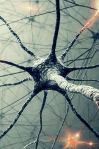 The Weight of Memories