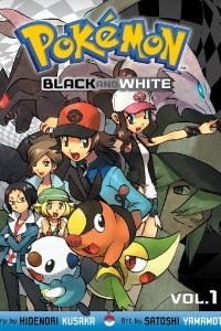 Pokemon Black &amp; white: The Complete Story