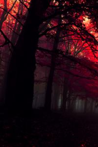 Apocalyptic Survival- How to survive the Apocalypse -