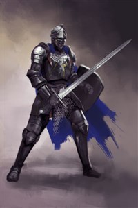 The Sensible Knight