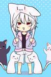 I Want To Become A Cat!!!