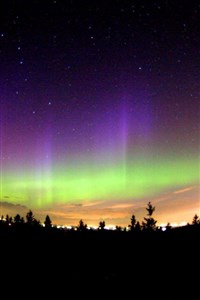Aurora