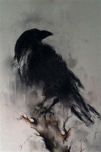 The Corvus Saga : The Recluse King&nbsp;&nbsp;(Minor Hiatus)