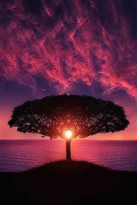 A World Greater Than Any Other