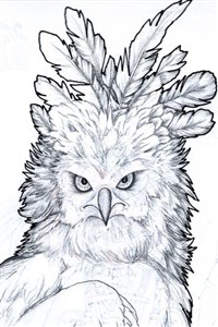 Bird's brain: The Big Birdie's Little Brother