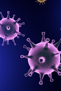 T Virus System