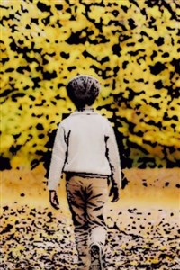 One Who Walked Away