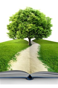 The Road to Wealth