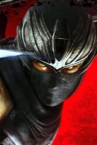 Assassins Revenge