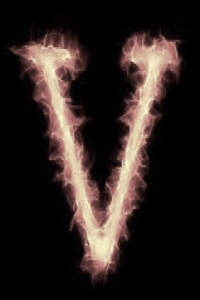 The Voyager