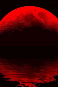 Curseblood Chronicles