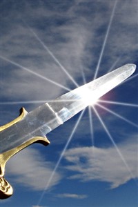 THE HOLY SWORDMAN