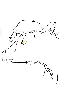 Rise of Toki