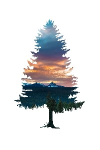 Point of View