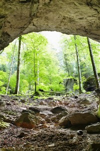 The last Dungeon