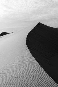 Shadow of Light