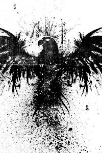 Black Feather