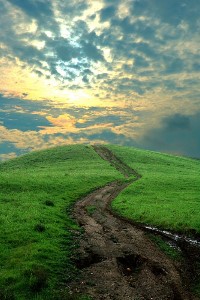We choose our Path