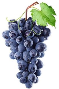 Fruitful