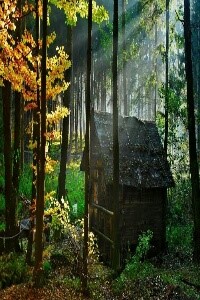 the strange world